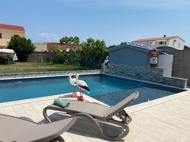 Croliday Apartment With Pool Nin Vrsi Exterior foto